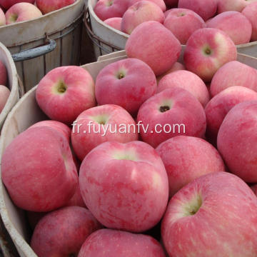 Fruit étoile pomme rouge